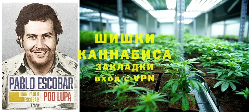 МАРИХУАНА THC 21%  купить наркотик  Анива 